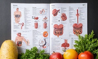 Programmi nutrizionali per condizioni specifiche